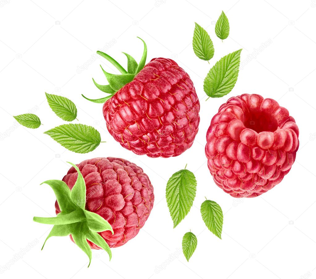 Raspberries Collection isolated on white background close up. Raspberries Clipping Path. Professional studio photography