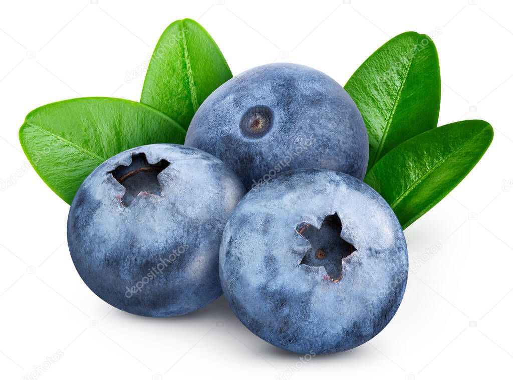 Ripe whole blueberry fruit with green leaf isolated