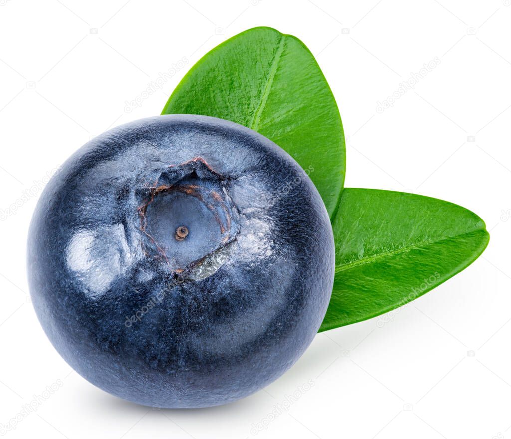 Blueberry fruit with leaf isolate. One blueberry and leaves on white. Blueberry clipping path. High End Retouching