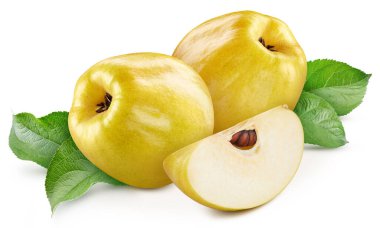 Fresh quince with leaves isolated on white background. Natural quince clipping path. Fresh organic fruit. Full depth of field