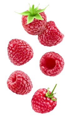 Flying ripe raspberries isolated on white background. Raspberry collection with clipping path. Raspberries stack full depth of field macro shot.