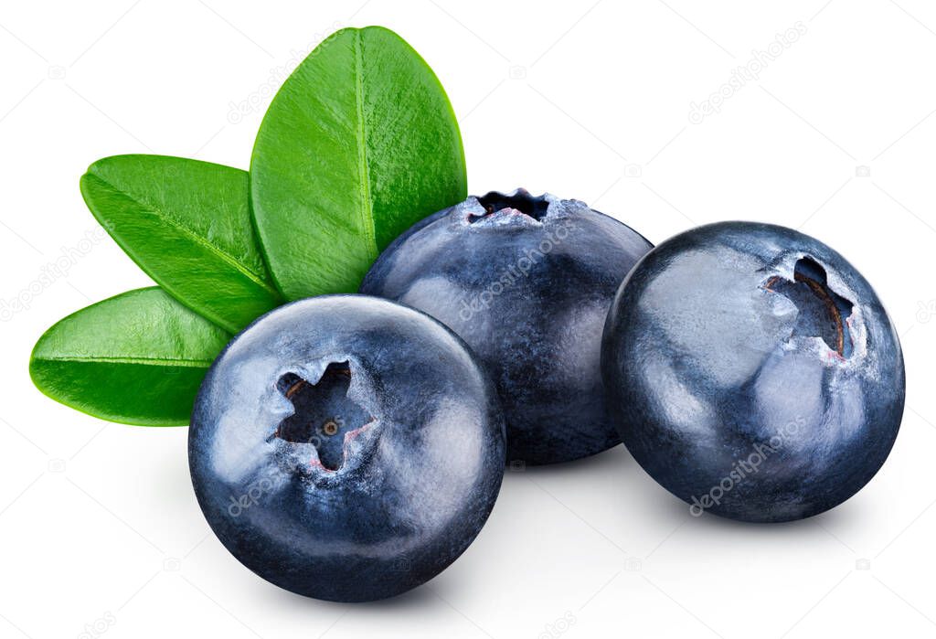 Blueberry fruit with orange slices and leaves isolated on white background. Blueberry High End Retouching