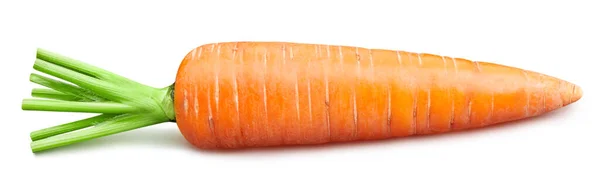 Одну Спелую Морковку Обрезкой Органическая Свежая Морковь Изолированная Белом Полная — стоковое фото