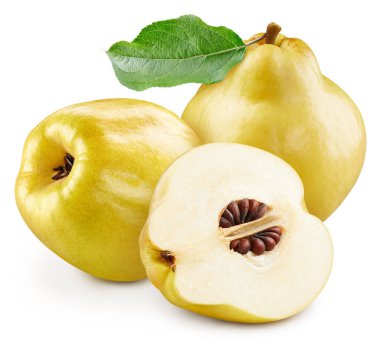 Ayva ve yarısı beyaz arka planda. Ayva kırpma yolu. Ayva meyvesi