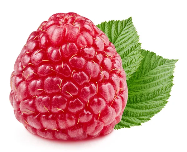 Raspberri Bär Med Blad Isolerad Vit Bakgrund — Stockfoto