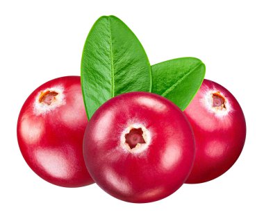 Kızılcık beyaz arka planda izole edilmiş. Kızılcık makro stüdyo fotoğrafı. Yapraklı yabanmersini. kırpma yolu ile