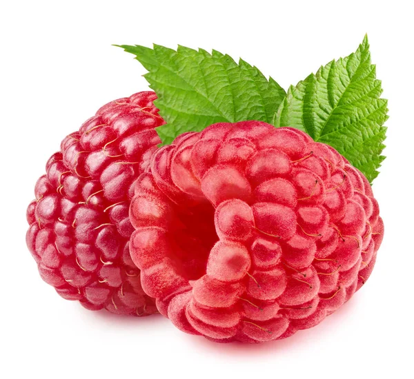 Frambuesas Aisladas Sobre Fondo Blanco Cerca Raspberries Clipping Path Menta — Foto de Stock