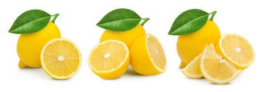 Limon koleksiyonu. Lemon beyaz bir arka planda izole edildi. Taze organik sebze. Tam alan derinliği