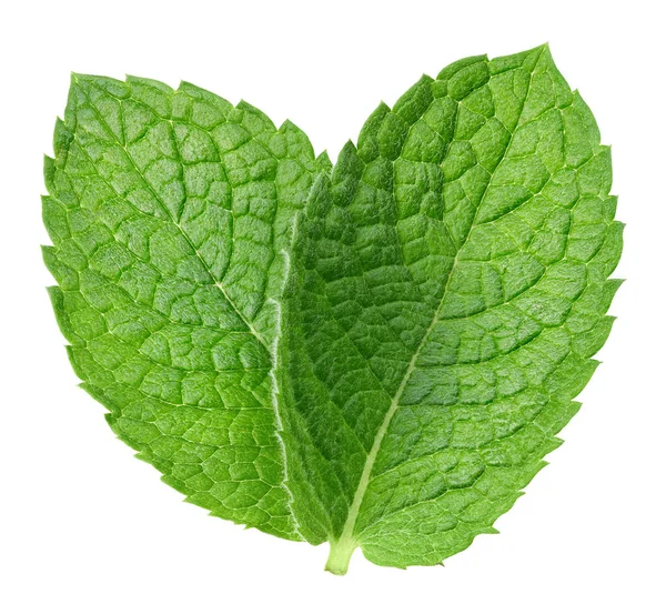 Hoja Menta Verde Pimienta Aislada Blanco Hoja Menta Fresca Camino — Foto de Stock