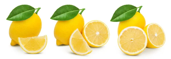 Collezione Lemon Agrumi Limone Isolati Fondo Bianco Macro Studio Biologico — Foto Stock