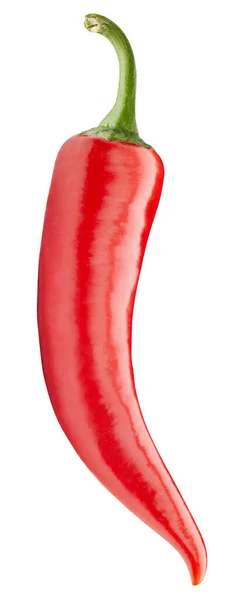 Chili πιπέρι απομονωμένο λευκό φόντο — Φωτογραφία Αρχείου