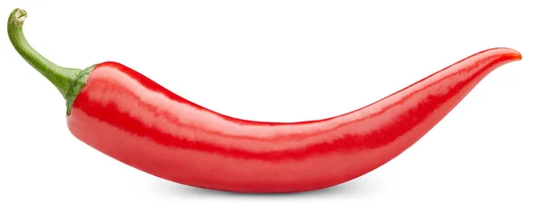 Pojedyncza papryka chili izolowana na białym tle — Zdjęcie stockowe