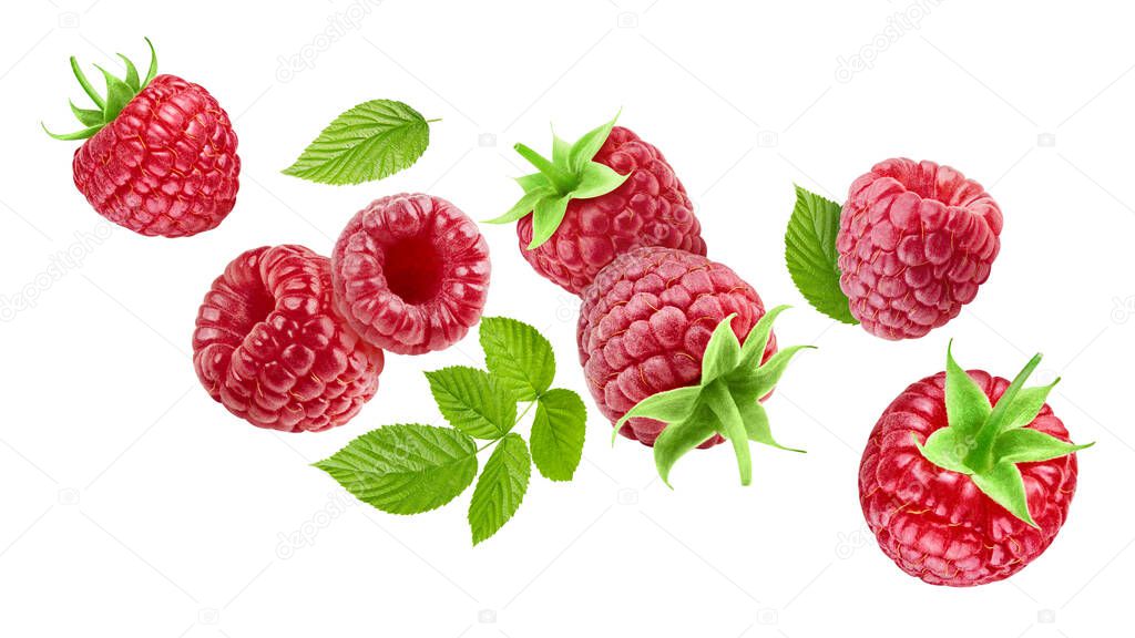 Raspberry with leaves isolated on a white background