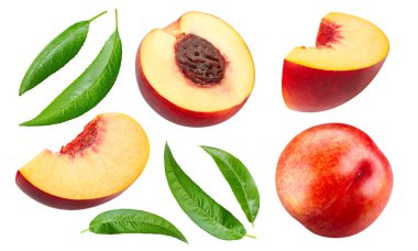 Yeşil yapraklı şeftali meyveleri