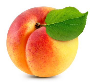 Beyaz arka planda izole edilmiş organik kayısı. Kırpılmış yapraklı kayısı tadı