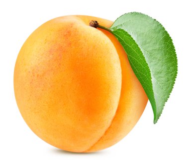 Beyaz arka planda izole edilmiş organik kayısı. Kırpılmış yapraklı kayısı tadı