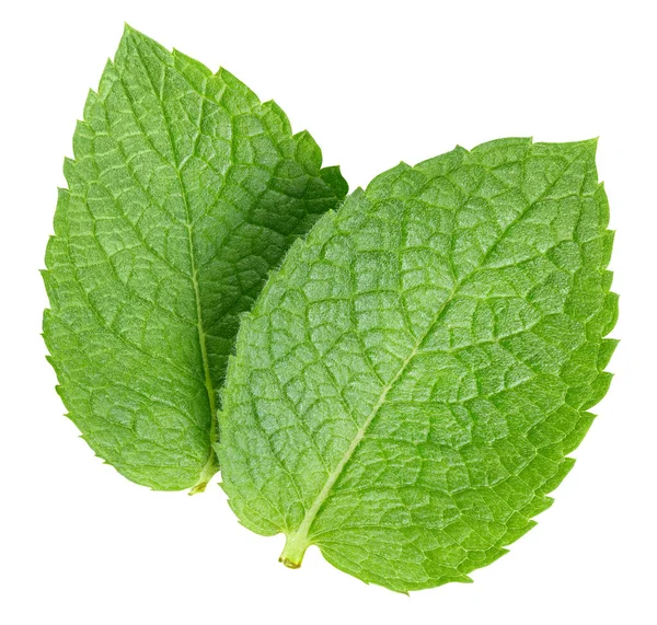 Feuilles de menthe avec chemin de coupe isolé sur un fond blanc — Photo