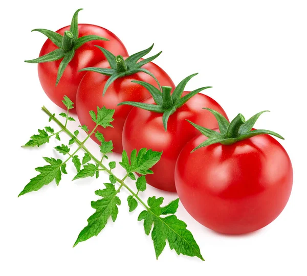 Tomate Aislado Sobre Fondo Blanco Ruta Recorte Tomate Tomate Ecológico —  Fotos de Stock