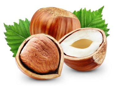 Ceviz yapraklı ve beyaz arka planda yarı izole edilmiş fındık. Fındık Kırpma yolu.