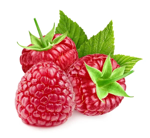 Framboise Avec Des Feuilles Isolées Sur Fond Blanc Framboise Avec — Photo