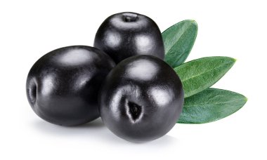 Yapraklı zeytin. Zeytin toplama yolu. Beyaz üzerine izole edilmiş taze organik zeytin. Tam alan derinliği