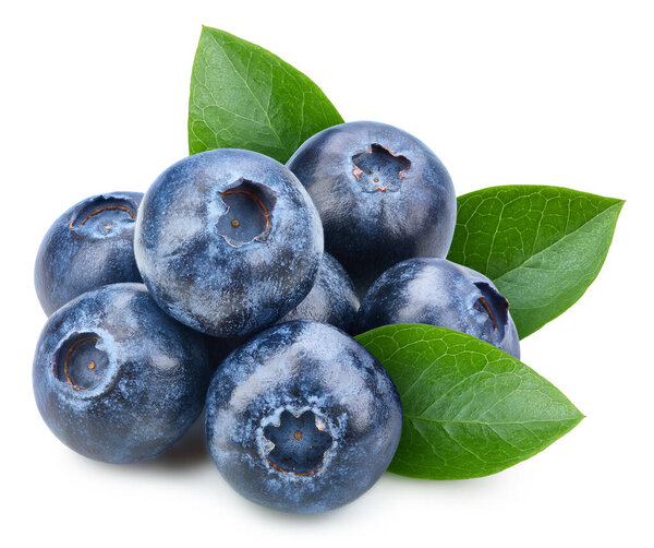 Organic blueberry isolated on white background