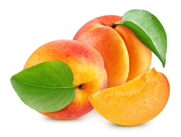 Apricot Fruit Apricot Leaf White Background File Contains Clipping Path — Stock Photo, Image