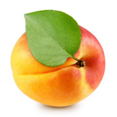 Beyaz arka planda izole edilmiş organik kayısı. Kırpılmış yapraklı kayısı tadı