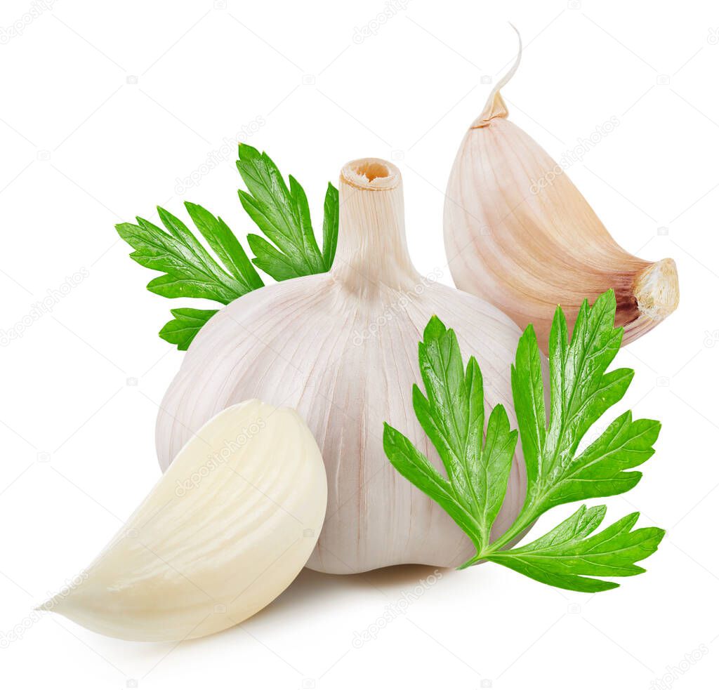Garlic with leaf isolated on white background. Garlic clipping path. High End Retouching