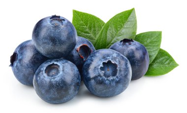 Taze organik yabanmersini. Beyaz arka planda yaban mersini izole edilmiş. Kesme yolu.