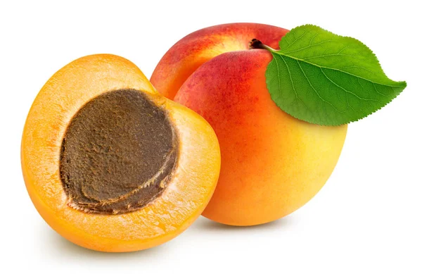 Abrikozenfruit Met Abrikozenhelft Bladeren Geïsoleerd Witte Achtergrond Abrikozenklippad — Stockfoto