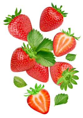 Taze çilek meyvesi. Beyaz arka planda kırmızı çilek izole edilmiş. Kırpma yolu olan çilek