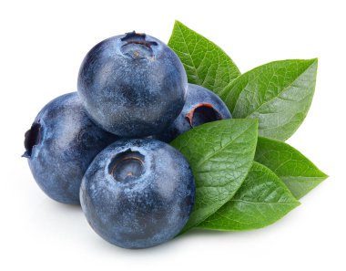 Beyaz arka planda izole edilmiş organik yaban mersini. Yaban mersinli yaprağın tadına bak.