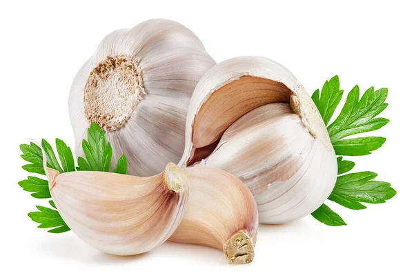 Knoblauch isoliert auf weißem Hintergrund — Stockfoto