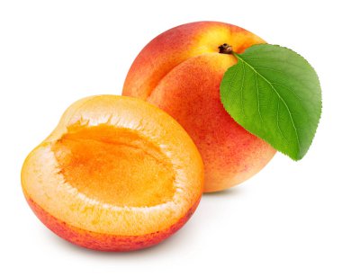 Kayısı beyaz arkaplanda izole edildi