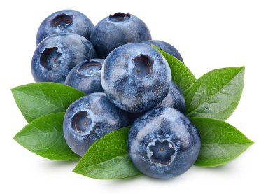 Blueberry with leaves isolated on white background. Blueberry with clipping path. Blueberry on white. clipart