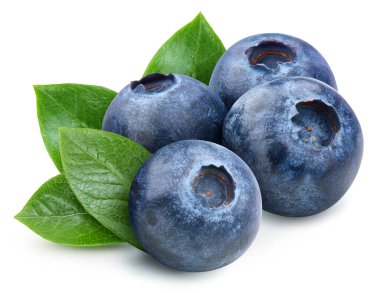 Blueberry with leaf isolated on white background. Blueberry clipping path. Blueberry High End Retouching clipart