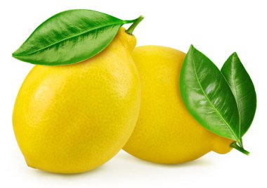 Yaprak izole edilmiş limon meyvesi.