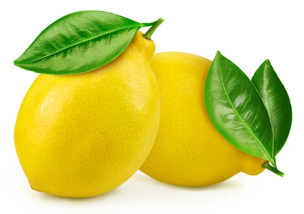 Лимонные фрукты с изолятом листа — стоковое фото