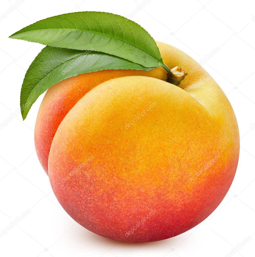 Peach fruit with leaf isolate white