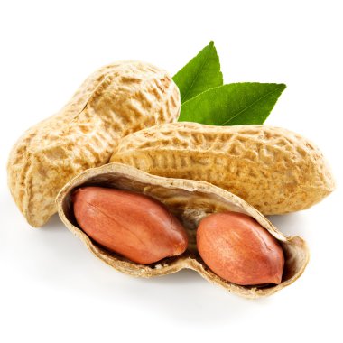 Fıstık