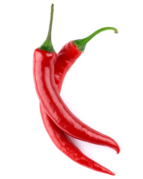 Pimiento chile — Foto de Stock