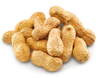 Fıstık