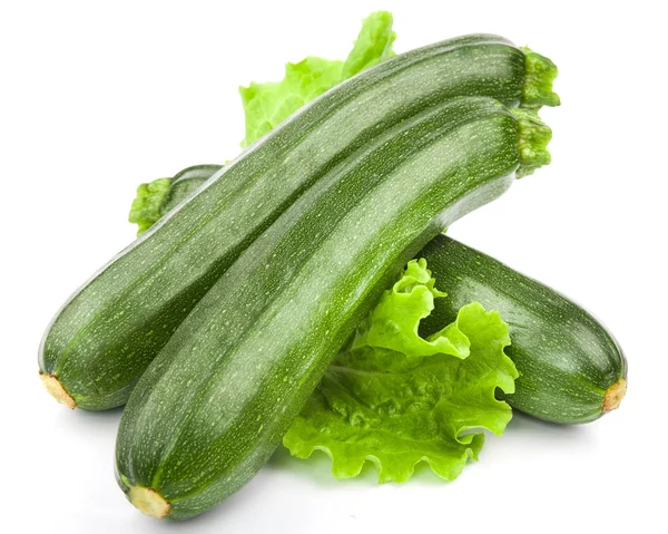 Zucchine — Foto Stock