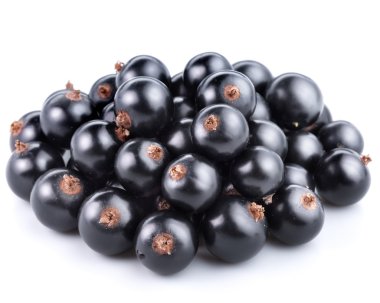 Siyah frenk üzümü
