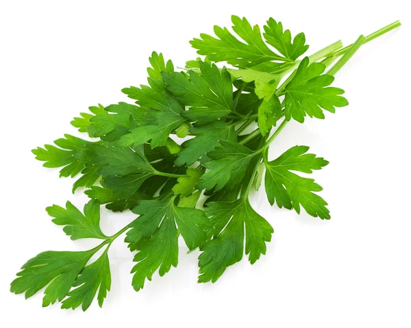 Parsley — Stock Photo, Image