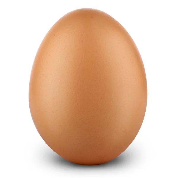 Chicken egg — Stock Photo, Image