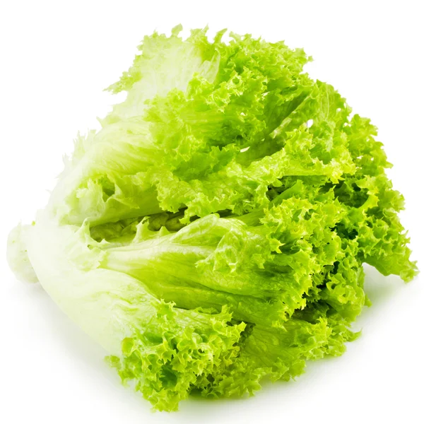 Kopfsalat — Stockfoto