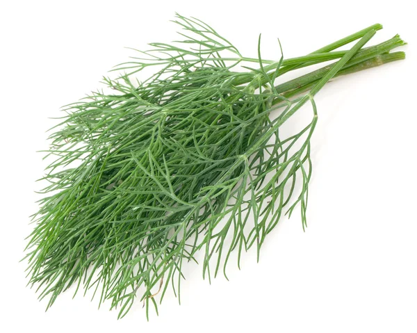 Groene dill — Stockfoto