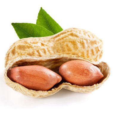 Fıstık